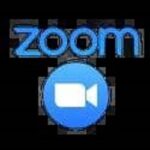 zoom1.1