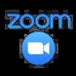 zoom1.1