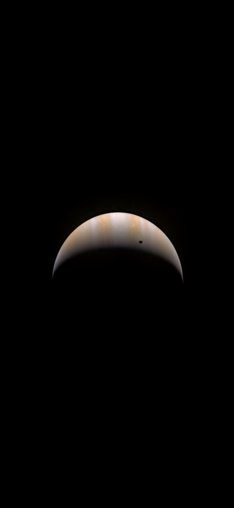 phone-x-wallpapers-1.12