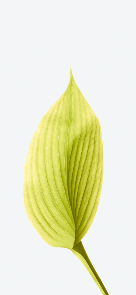 iphone-x-wallpapers-1.17