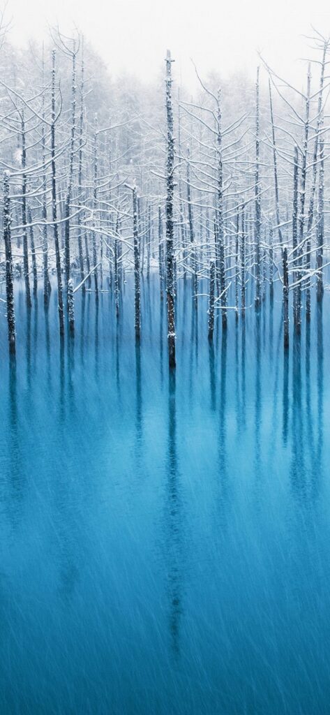 iphone-x-wallpapers-1.28