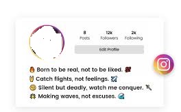 increase-instagram-followers-1.10