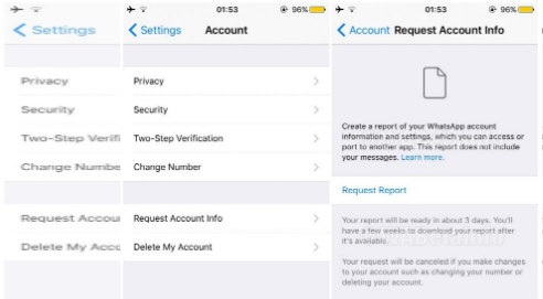 request-whatsapp-account-info-1.5