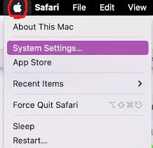 update-safari-1.6