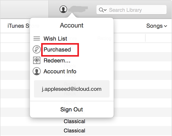 view-apple-purchase-history-1.21