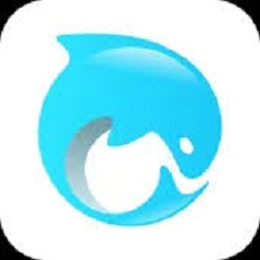 dolphin-vpn-pc-1.2