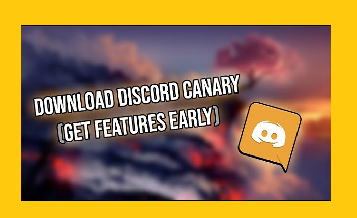 canary-discord-pc-1.3